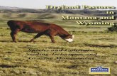 Dryland Pastures in Montana and Wyoming - Department …animalrange.montana.edu/documents/extension/EB0019.pdf · — 1 — Dryland Pastures in Montana and Wyoming Species and Cultivars,