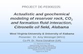 Actualistic and geochemical modeling of reservoir rock, … Library/Events/2012/Carbon...PROJECT DE-FE0002225: Actualistic and geochemical modeling of reservoir rock, CO 2 and formation