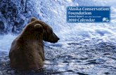 Alaska Conservation Foundation · Circumpolar Arctic 33 Sportsman’s Alliance for ... Alaska’s heralded wild fisheries are beginning to show ... The Alaska Conservation Foundation