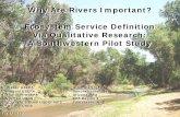 Why Are Rivers Important? Ecosystem Service Definition …conference.ifas.ufl.edu/aces10/Presentations/Thursday/C/AM/Yes/0845... · Ecosystem Service Definition Via Qualitative Research: