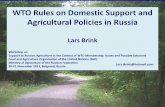 WTO Rules on Domestic Support and Agricultural Policies … · WTO Rules on Domestic Support and Agricultural Policies in Russia Lars Brink Workshop on Support to Russian Agriculture