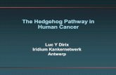 The Hedgehog Pathway in Human Cancer - Wild Apricot Hedgehog Pathway in Human Cancer . 2 ... Dyspepsia 1 0 0 Dyspnea 0 2 0 Aspiration 0 1 0 Back Pain 0 1 0 Corneal abrasion 0 1 0 Dehydration