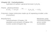 [PPT]PowerPoint Presentation - Vanderbilt University College …as.vanderbilt.edu/chemistry/Rizzo/Chem220b/Ch23.ppt · Web viewcarbohydrates (Chapter 23) monosaccharides peptides
