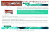 a for WooL Advanced WOOL - Interlink Supply · Identify fiber content, construction, dye stability, shrinkage ... Apply to freshly cleaned Oriental rugs or wool carpet using an electric