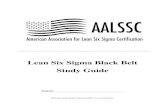 Lean Six Sigma Black Belt Study Guide - AALSSCaalssc.org/wp-content/uploads/2017/05/AALSSC-study... · Lean Six Sigma Black Belt Study Guide ... Balanced scorecard Additional methods