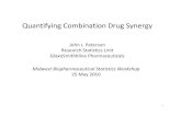 Quantifying Combination Drug Synergy - MBSW · Quantifying Combination Drug Synergy John J. Peterson Research Statistics Unit ... •There appears to be Loewe synergy here are the