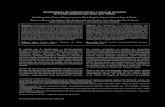 Modelamiento del Ambiente Térmico y Aéreo de un Galpón … · Modelamiento del ambiente térmico y aéreo de un galpón .. Rev.Fac.Nal.Agr.Medellín 66(2): 7085-7093. 2013 7087