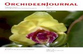 Leafy Vanilla species of the Philippines - V.D.O.F. e.V ...orchideen-journal.de/permalink/ORMEROD_COOTES_Vanilla.pdfOrchideenJournal Vol. 1-2 2013 Publisher: V.D.O.F. Vereinigung Deutscher