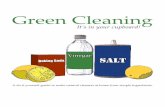Green Cleaning - WSU Extensionextension.wsu.edu/.../sites/7/2014/10/GreenCleaning-_April-29_2015.pdfGreen Cleaning It’s in your ... Ingredients: • 1 cup Baking Soda • 1 cup Vinegar