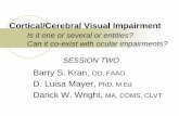 Cortical/Cerebral Visual Impairment · Cortical/Cerebral Visual Impairment ... • Briefly review classification of pediatric ... Overview. JVIB, AFB press.