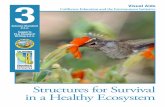 Structures for Survival in a Healthy Ecosystem · CALIFORNIA EDUCATION AND THE ENVIRONMENT INITIATIVE I Unit 3.3.a. I Structures for Survival in a Healthy Ecosystem I Visual Aids