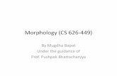 Morphology (CS 626-449) - cse.iitb.ac.incs626-449/slides/Lec 21.pdf · Morphology (CS 626-449) By Mugdha Bapat ... Regularly InflectedVerbs Irregularly Inflected Verbs ... reg-noun