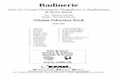 EMR 3641 Badinerie BB - alle-noten.de fileBadinerie Solo for Cornet (Trumpet), Flugelhorn or Euphonium ... Keyboard / Guitar (optional) Bass Guitar (optional) Drum Set Glockenspiel