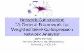 Network Construction “A General Framework for …labs.genetics.ucla.edu/horvath/GeneralFramework/Netw… ·  · 2007-07-08Network Construction “A General Framework for Weighted