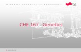 CHE.167 Genetics - ftp.tugraz.atftp.tugraz.at/pub/Molekulare_Biotechnologie/CHE_167 Genetik/WS_201… · Gene expression Transcription: promoters, termination, mRNA processing, mRNA