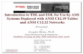 Introduction to TDL and EDL for Use by AMI Systems ... · › AMI to Any-network Comm. Module: IEEE 1703 / ANSI C12.22 (OSI Layer 1-4) + IEEE 1704 Mechanical