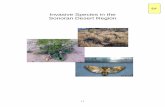 Invasive Species in the Sonoran Desert Region - Mesa, Arizona · Invasive Exotic Species in the Sonoran Desert Region. University of Arizona Press. Ibarra F., Fernando. 1999. Lo mejor
