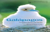 Galápagos - betchartexpeditions.com · possible, one that goes beyond the limits of a cruise or tour. Experience Galápagos panoramically: on a voyage linking island to island, ...