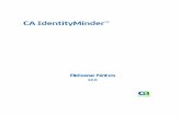 CA IdentityMinder Release Notes IdentityMinder r12 6-ENU... · can send a message to techpubs@ca.com. ... Dynamic Keys for Encrypting Data ... Non-Fatal Error after Upgrading Provisioning