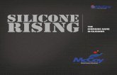 Silicone Rising Catalogue 12x12 inch 3rdmccoygroup.in/pdf/Silicone Rising_Catalogue.pdf3000 MT of silicones per annum covering a wide range of silicone application areas such as Textile