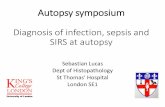 Sepsis at autopsy - Home - The Pathological Society of Great … ·  · 2018-02-22Autopsy symposium Diagnosis of infection, sepsis and SIRS at autopsy Sebastian Lucas Dept of Histopathology