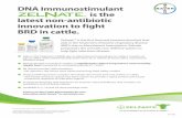 DNA Immunostimulant is the latest non-antibiotic ... · ©2015 Bayer HealthCare LLC, Animal Health, Shawnee Mission, Kansas 66201 Bayer ... Aids in the treatment of BRD due to Mannheimia