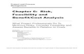 Chapter 6: Risk, Feasibility and Benefit/Cost Analysisburns.ba.ttu.edu/Isqs4350/Chapter 6.pdf · feasibility analysis ... chapter 6: risk, feasibility and benefit/cost analysis. copyright