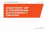 Anatomy of a Progress DataDirect Driver · The diagram below shows the anatomy of a Progress DataDirect Driver ... DB vendors don’t provide this capability ... Progress DataDirect