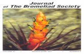 Journal of The Bromeliad Society - Meg Lowman Along the ACEER Canopy ... The non-profit ACEER foundation was created in 1991 by International ... Brako, L. and J.L. Zarucchi. 1993.