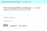 Presentation Francis O’Sullivan: The Changing Utility ... · to our potential customers” – SolarCity ... The Changing Utility Landscape – Complex Realities and their Diverse