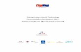 Entrepreneurship & Technology Commercialization Report ...ttaturkey.org/upload/haberler/Entrepreneurship_TechCommReport2017... · Turkey under the regional development component of