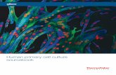 Human primary cell culture sourcebook - Thermo Fisher …tools.thermofisher.com/content/sfs/brochures/human... ·  · 2016-08-09Human primary cell culture sourcebook. ... animal