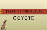 Coyote - erlang-factory.com · people still give thanks to clever Coyote. If it had not been for the smart head and warm heart of one little dog, that horrible monster would have
