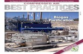 Biogas Purification - Compressed Air Best Practices · forward a bit on biogas purification by clarifying the process differences between raw gas purification and upgrading to biomethane.