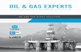 OIL & GAS EXPERTS - dyxv1bh90sbwp.cloudfront.net€¦ · maintain a constant gas pressure inside the vapor space ... PAGE 6 // OIL & GAS EXPERTS OIL & GAS EXPERTS ... manufacturer