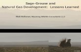 Sage-Grouse and Natural Gas Development: Lessons Learned · Sage-Grouse and . Natural Gas Development: Lessons Learned. Matt Holloran; Wyoming Wildlife Consultants LLC. M. Gocke