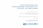 EVALUATION OF SUBOXONE FEASIBILITY STUDY …health.gov.ie/wp-content/uploads/2014/03/Suboxone...EVALUATION OF SUBOXONE FEASIBILITY STUDY IN IRELAND An independent report for Department