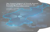 The Future Impact of North Korea’s Emerging Nuclear .... But that consensus, as forcefully underscored during the 2015 Review Conference of the Parties to the Treaty on the Non-Proliferation