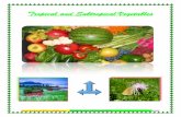 Tropi cal and Subtropical Vegetables - Bharsar Studentsk8449r.weebly.com/uploads/3/0/7/3/30731055/sub_tr._vege.pdfTropi cal and Subtropical Vegetables . ... post-harvest handling and
