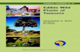 Edible Wild Plants of Tanzania - World Agroforestry Centre · Edible Wild Plants of Tanzania Christopher K. Ruffo Ann Birnie ... Samuel Simute, ... The flora of this region is so