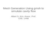 Mesh Generation Using gmsh to simulate cavity flow · Mesh Generation Using gmsh to simulate cavity flow Albert S. Kim, Assoc. Prof. CEE, UHM