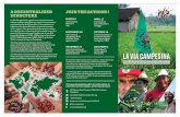 A DECENTRALIZED STRUCTURE - Via Campesina · based on the decentralization of power between all its regions. The international secretariat rotates ... There is an increase in displacement,