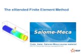 The eXtended Finite Element Method - Code_Aster · The eXtended Finite Element Method. 2 ... Study of cracked structures without explicitly meshing crack ... Post-processing in fracture