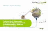 RobecoSAM Corporate SustainabilityAssessment ... · Assignment of materiality value to questions, ... in the form of bench- ... investment analysis and decision-making processes.