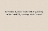 Tyrosine Kinase Network Signaling in Normal …€¦ · Tyrosine Kinase Network Signaling in Normal Physiology and Cancer • Introduction of PTKs • Src Family Kinases • FAK/RAFTK(=PYK2)