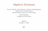 Algebraic Databases - Categorical Datacategoricaldata.net/fql/jfpslides.pdf · Algebraic Databases Patrick Schultz, David Spivak, Christina Vasilakopoulou Department of Mathematics