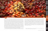 11 Palm Oil Market - IISD | The Knowledge to Act · SSI Review 2014 | 235 . 11 Palm Oil Market. Palm oil is an economically important and versatile vegetable oil that is used as raw