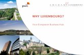 WHY LUXEMBOURG? international pool of talent ... Sources: CIA World Factbook (estimates), ... Credit of 7% on the acquisition value of eligible