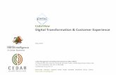 CedarView Digital Transformation & Customer Experience · Offers two fixed saver accounts, SME lending ... Smart, simple, always with you. Segments it will address ... SBI Customer