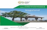 Compendium of Nagaland financing options for the food processing …foodprocessingindia.co.in/state-profile-pdf/nagaland.pdf ·  · 2018-03-09financing options for the food processing